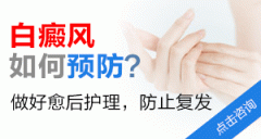 ���综������Ԥ�������� 